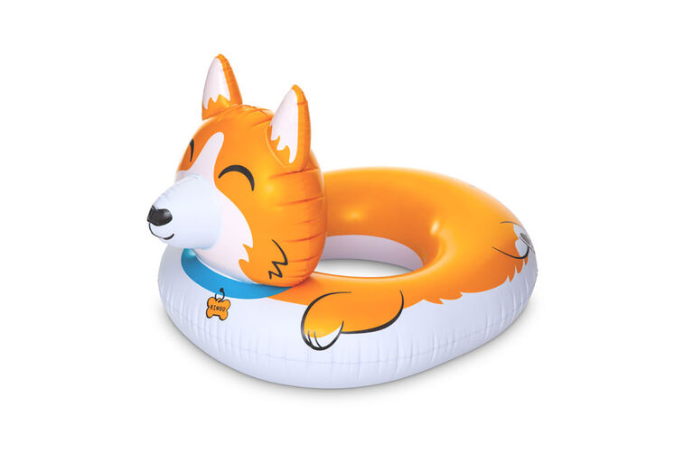 Floatie-Corgi 